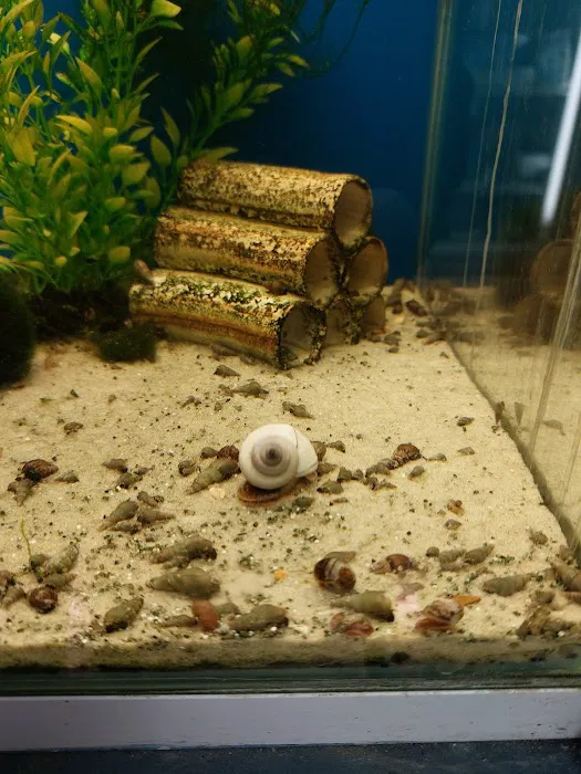 AK - Quatics Picture 2