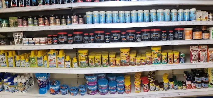 AK - Quatics Picture 3