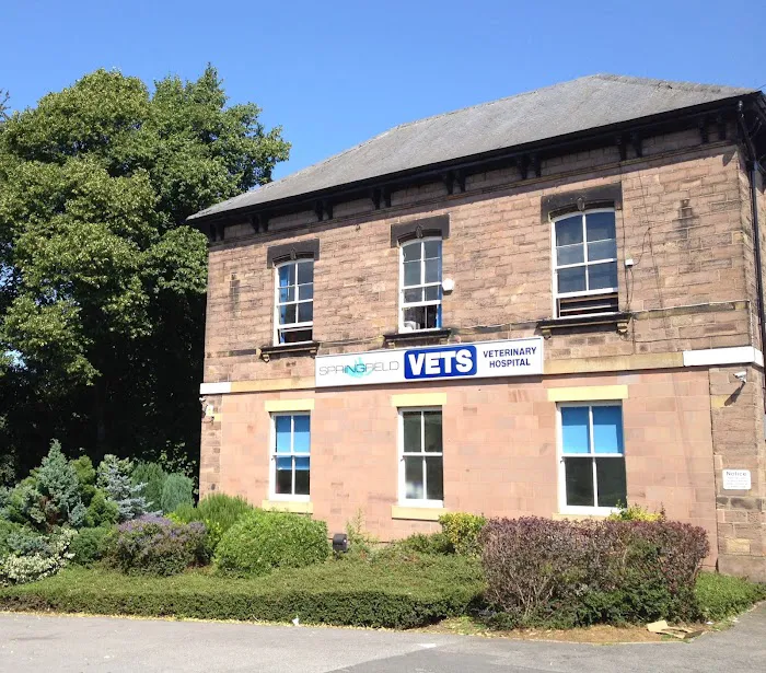 Springfield Veterinary Group - Rotherham Picture 3
