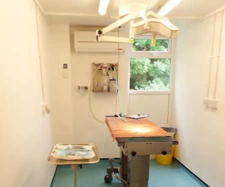 Springfield Veterinary Group - Rotherham