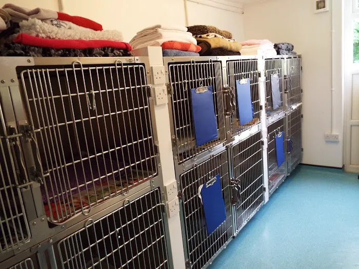 Springfield Veterinary Group - Rotherham Picture 5