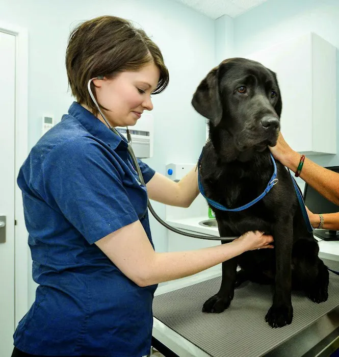 Vets for Pets - Barnsley Cortonwood Picture 3