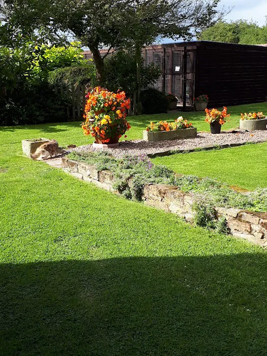 Acacia Lodge Cattery Picture 2