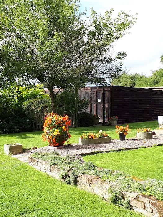 Acacia Lodge Cattery Picture 4
