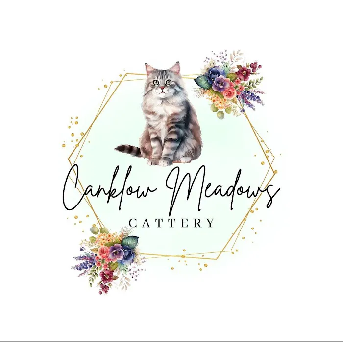 Canklow Meadows Cattery Picture 1