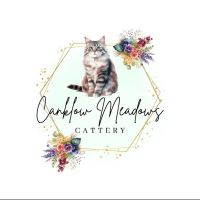 Canklow Meadows Cattery ico