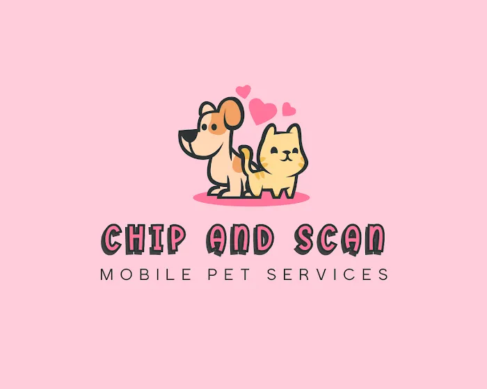 Chip and Scan Picture 4