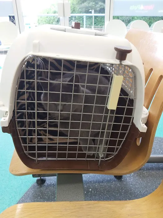 Vets for Pets Halifax Picture 10