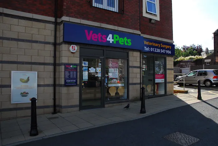 Vets4Pets - Corby Picture 10
