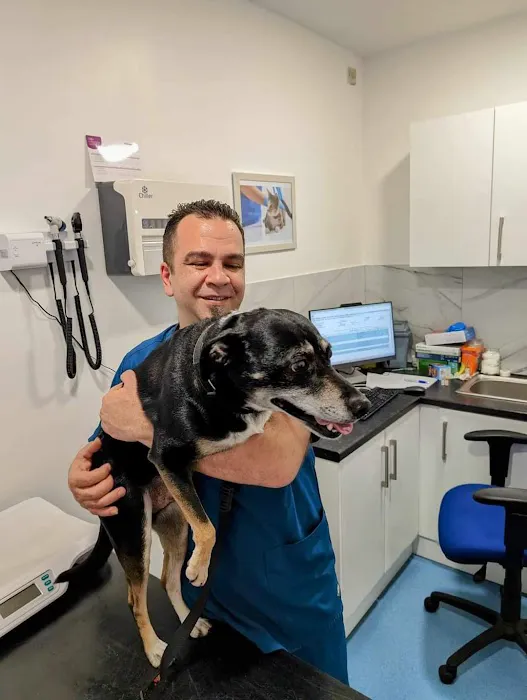 Stoley's Vets Picture 2