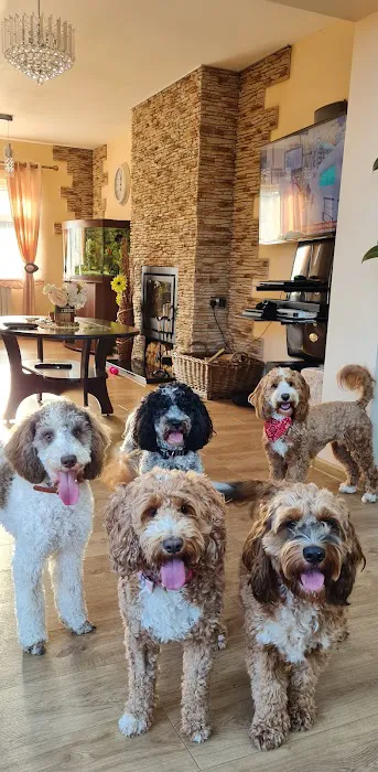 Stoley's Vets Picture 4