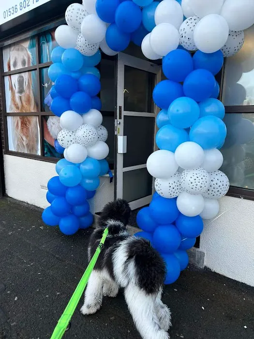 Stoley's Vets Picture 8
