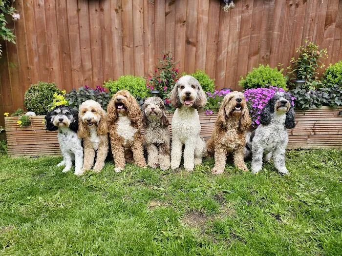 Stoley's Vets Picture 10