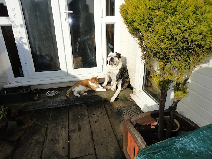 Rutland Veterinary Centre Picture 1