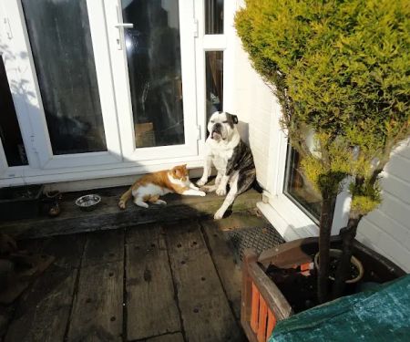 Rutland Veterinary Centre