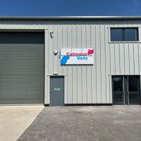 Catmose Vets ico