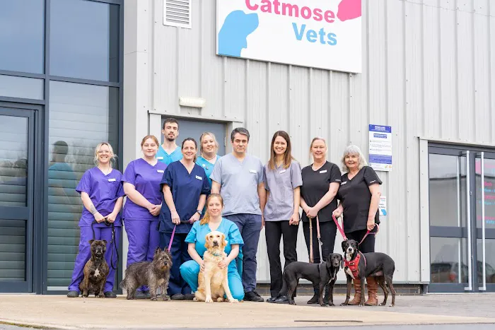 Catmose Vets Picture 3