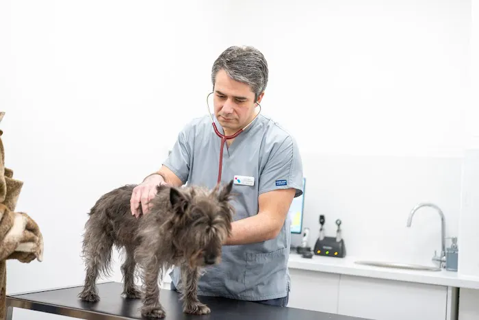 Catmose Vets Picture 6