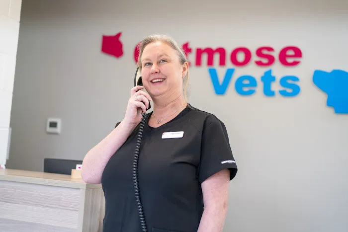 Catmose Vets Picture 4