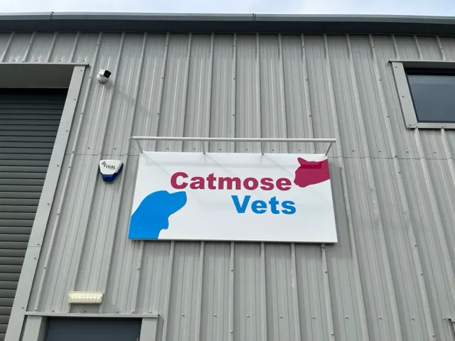 Catmose Vets Picture 8