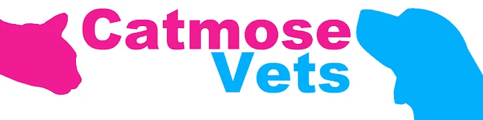 Catmose Vets Picture 10