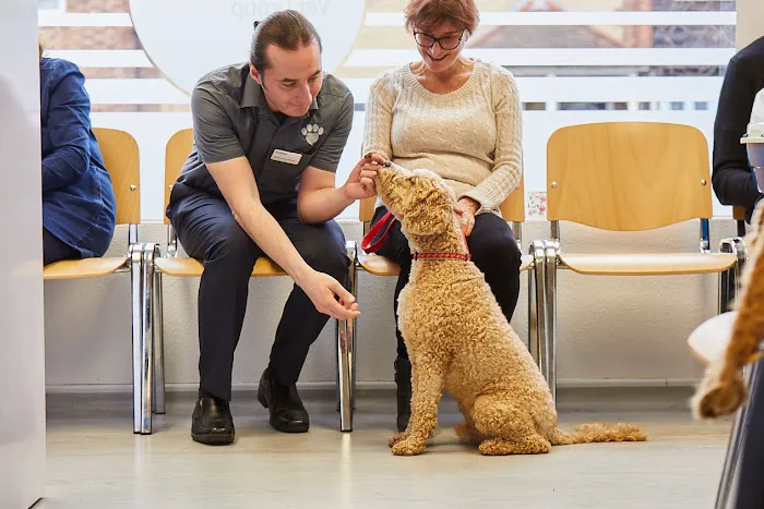 Best Friends Vet Group, Corby Picture 1
