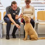 Best Friends Vet Group, Corby