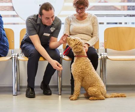 Best Friends Vet Group, Corby