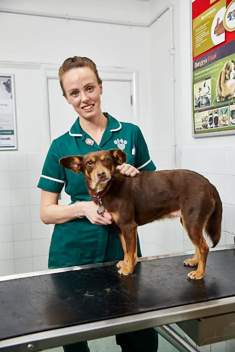Best Friends Vet Group, Corby Picture 4
