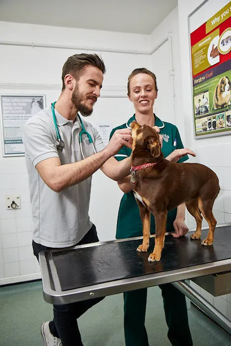 Best Friends Vet Group, Corby Picture 6