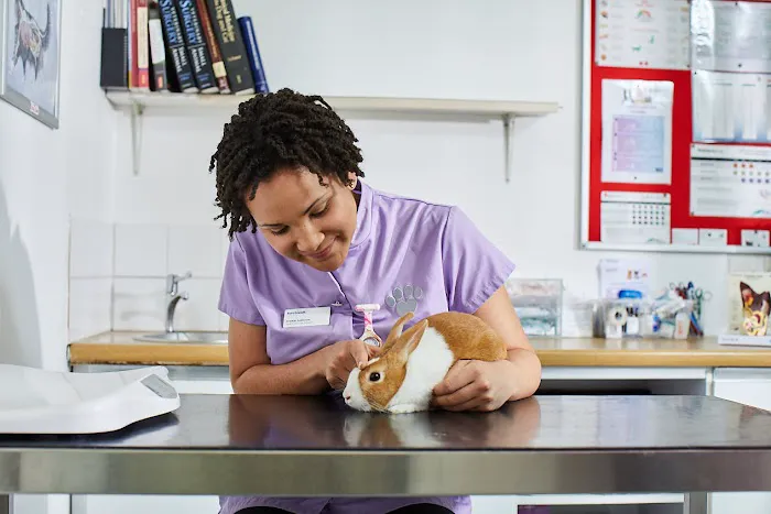 Best Friends Vet Group, Corby Picture 5