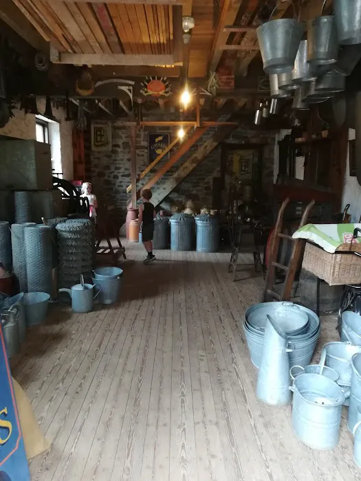 St Fagans Cattery Picture 5