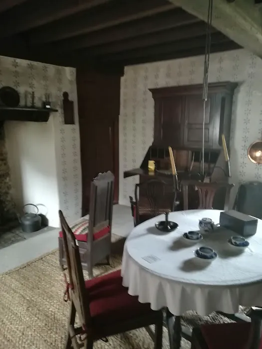 St Fagans Cattery Picture 6