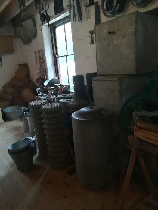 St Fagans Cattery Picture 8