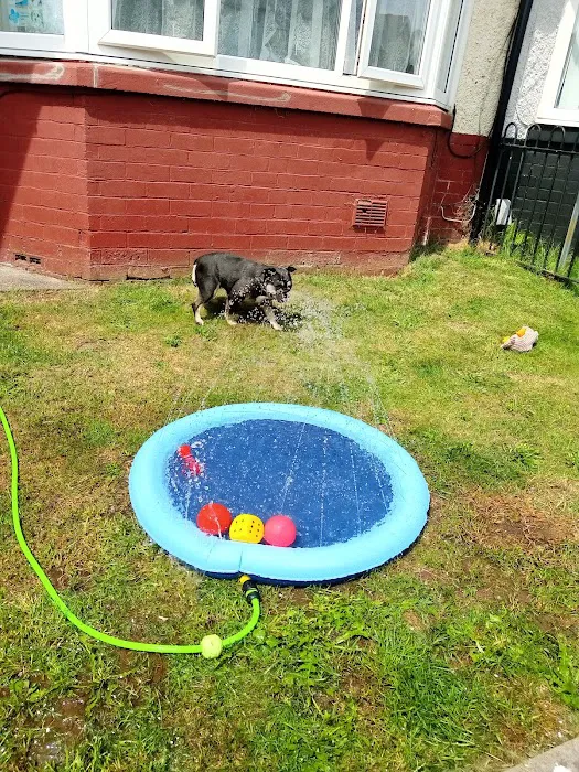 Vets for Pets - Cardiff Ely Picture 2