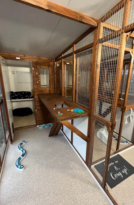 Sunnyside Cattery Picture 1