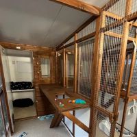 Sunnyside Cattery ico