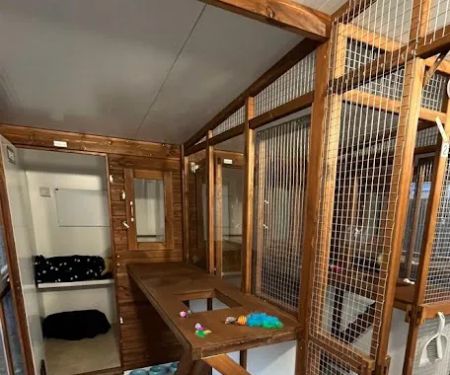 Sunnyside Cattery
