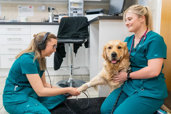 Park Veterinary Group, Cardiff Picture 1