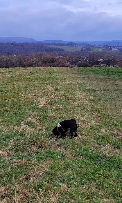 Cowbridge Road Veterinary Centre Picture 2