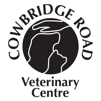 Cowbridge Road Veterinary Centre Picture 10