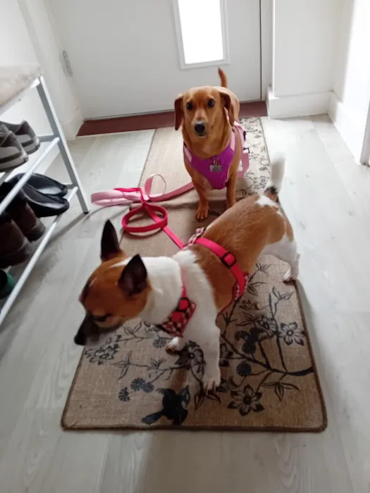 Medivet Llandaff North Picture 2