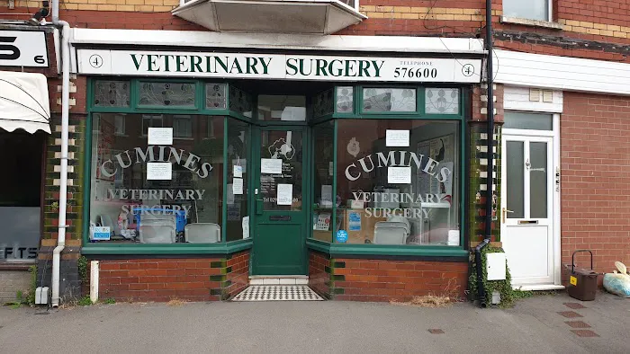 Medivet Llandaff North Picture 6