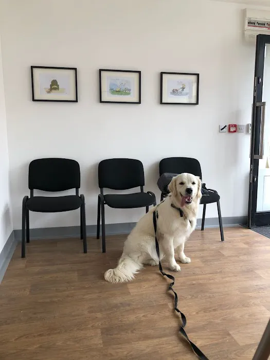 Vale Veterinary Centre - Cardiff Picture 5