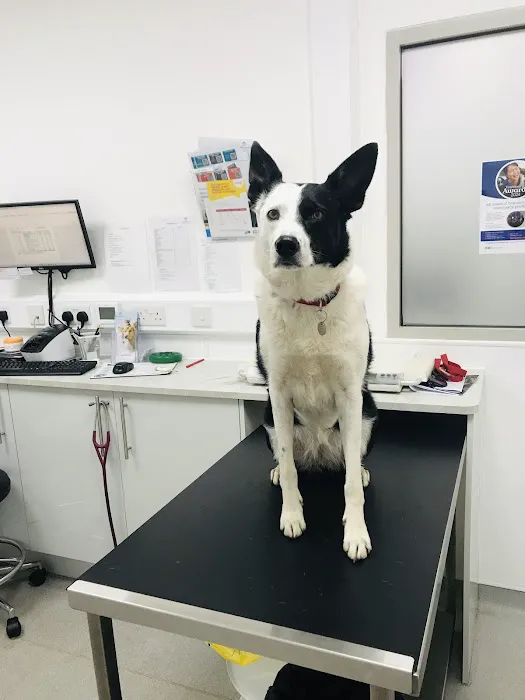 Cardiff Veterinary Centre Picture 7
