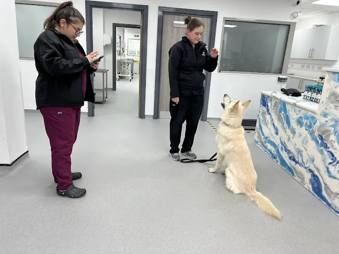 Cardiff Veterinary Centre Picture 9
