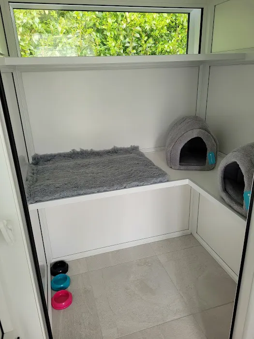 Four Paws Cattery Ltd Picture 3