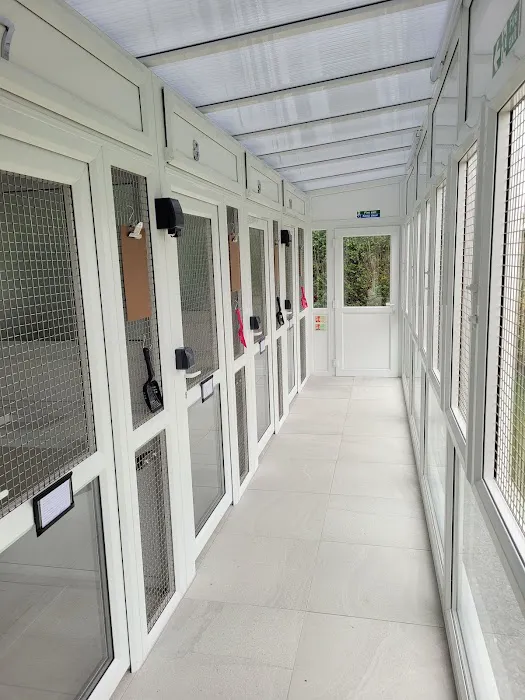 Four Paws Cattery Ltd Picture 5
