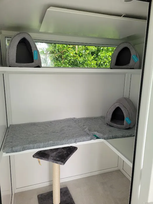 Four Paws Cattery Ltd Picture 7