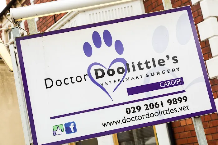Heath Vets - Whitchurch Picture 8